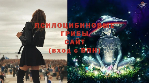 МДПВ Костерёво